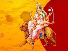 Navratri 2022 Plant: આ 9 છોડમાં છે મા દુર્ગાના નવ સ્વરૂપનો વાસ, ઘરમાં લગાવવાથી મળશે ચમત્કારિક લાભ