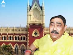 সিবিআই তদন্তে ব্যাঘাত নয়, গরুপাচারে পৃথক তদন্ত করতে পারবে না রাজ্য, জানাল হাইকোর্ট