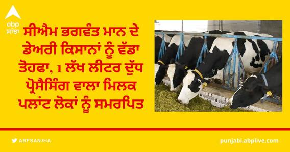 ਸੀਐਮ ਭਗਵੰਤ ਮਾਨ ਦਾ ਡੇਅਰੀ ਕਿਸਾਨਾਂ ਨੂੰ ਵੱਡਾ ਤੋਹਫਾ, 1 ਲੱਖ ਲੀਟਰ ਦੁੱਧ ਪ੍ਰੋਸੈਸਿੰਗ ਵਾਲਾ ਮਿਲਕ ਪਲਾਂਟ ਲੋਕਾਂ ਨੂੰ ਸਮਰਪਿਤ ਸੀਐਮ ਭਗਵੰਤ ਮਾਨ ਦਾ ਡੇਅਰੀ ਕਿਸਾਨਾਂ ਨੂੰ ਵੱਡਾ ਤੋਹਫਾ, 1 ਲੱਖ ਲੀਟਰ ਦੁੱਧ ਪ੍ਰੋਸੈਸਿੰਗ ਵਾਲਾ ਮਿਲਕ ਪਲਾਂਟ ਲੋਕਾਂ ਨੂੰ ਸਮਰਪਿਤ