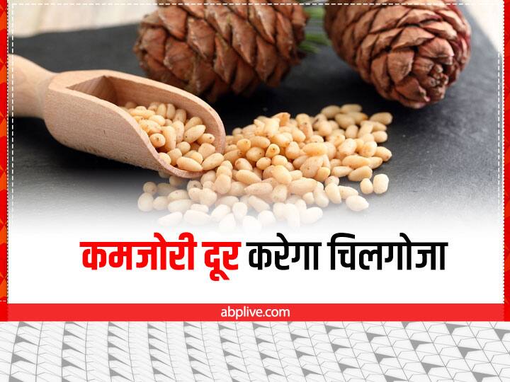 Chilgoza Health Benefits: चिलगोजा के सामने काजू बादाम भी फेल, खाते ही कमजोरी हो जाएगी दूर Chilgoza Health Benefits Use Price Pine Nuts Seeds For Weakness Chilgoza Health Benefits: चिलगोजा के सामने काजू बादाम भी फेल, खाते ही कमजोरी हो जाएगी दूर