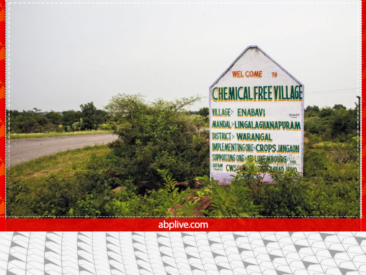 Organic Farming: ये है भारत का 'कैमिकल फ्री' गांव, विदेशों में निर्यात होता है यहां का अनाज