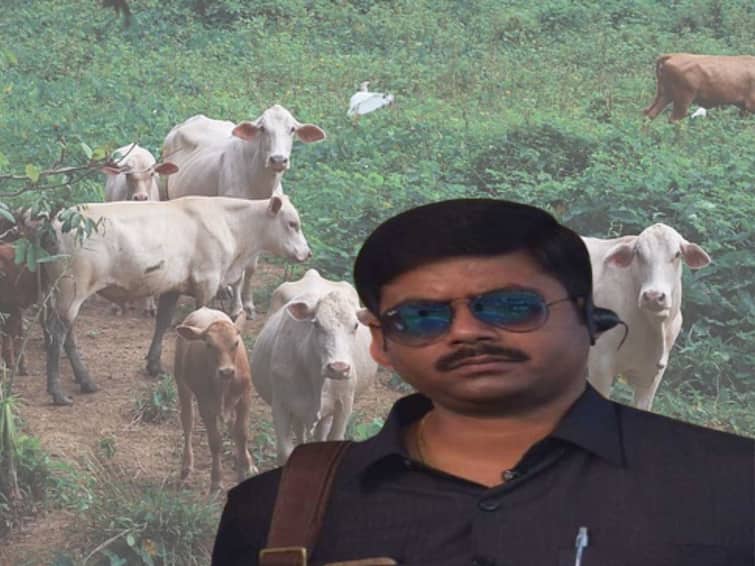 ED got permission to go to Asansol Jail and interrogate Saigal hossain in cow smuggling case Saigal Hossain: আসানসোল জেলে গিয়ে সায়গলকে জেরার অনুমতি পেল ইডি