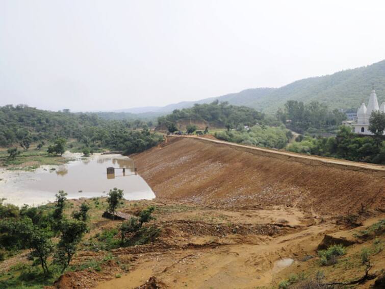 Haryana To Develop Largest Safari Outside Africa, Spread Over 10,000 Acres Haryana To Develop Largest Safari Outside Africa, Spread Over 10,000 Acres