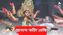 রাজ্যে ফের ডেঙ্গি আক্রান্তের মৃত্যু, পুজোতে উদ্বেগ বাড়ল শহরে