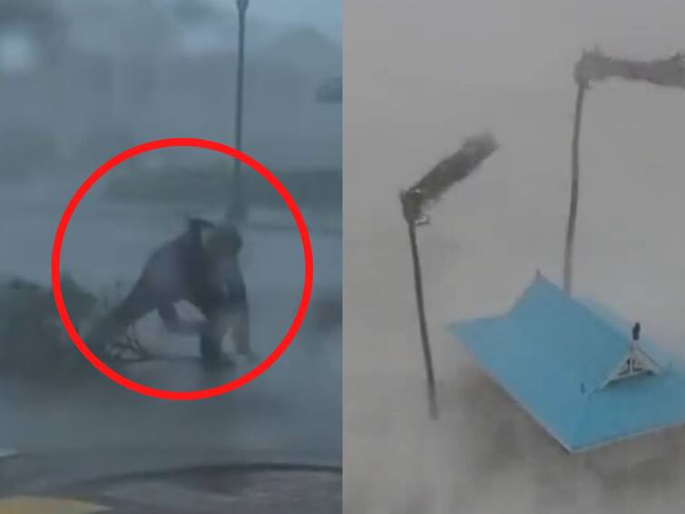 Hurricane Ian Lashes Florida US Reporter flies away sharks on streets Watch Video Hurricane Ian: రిపోర్టింగ్ చేస్తూనే కింద పడిపోయాడు, ఫ్లోరిడాలో హరికేన్ బీభత్సం