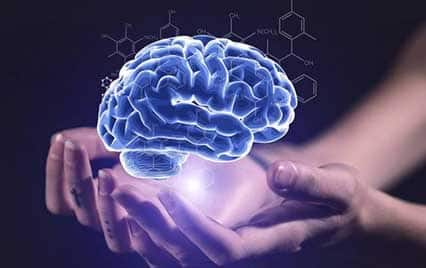 Brain Health: Follow these methods to keep the brain healthy, you will not suffer from anxiety or depression. Brain Health : ਦਿਮਾਗ ਨੂੰ ਸਿਹਤਮੰਦ ਰੱਖਣ ਲਈ ਅਪਣਾਓ ਇਹ ਤਰੀਕੇ, ਨਾ ਹੋਵੇਗੀ ਚਿੰਤਾ ਤੇ ਨਾ ਹੀ ਹੋੋਵੋਗੇ ਡਿਪ੍ਰੈਸ਼ਨ ਦਾ ਸ਼ਿਕਾਰ