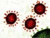 Spike Protein Vaccines May Be Effective Against Multiple Variants Of Novel Coronavirus: IIT Madras Study