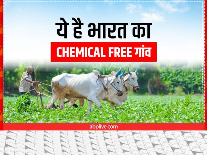 India Chemical Free Village produce only Organic Products and export internationally Organic Farming: ये है भारत का 'कैमिकल फ्री' गांव, विदेशों में निर्यात होता है यहां का अनाज