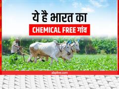 ये है भारत का 'कैमिकल फ्री' गांव, विदेशों में निर्यात होता है यहां का अनाज