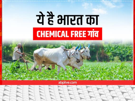 Organic Farming: ये है भारत का 'कैमिकल फ्री' गांव, विदेशों में निर्यात होता है यहां का अनाज Organic Farming: ये है भारत का 'कैमिकल फ्री' गांव, विदेशों में निर्यात होता है यहां का अनाज