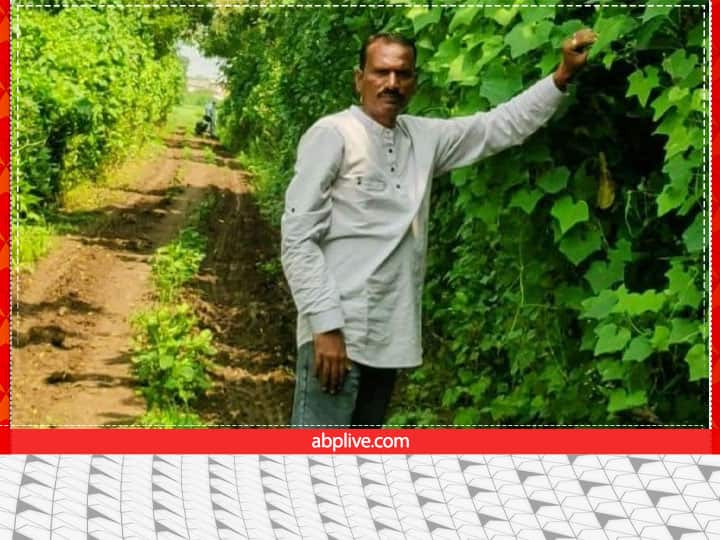 Success Story Farmer Jagan prahalad bagda did bio fencing of Cactus in Agriculture land Success Story: जो लोग 'पागल' कहते थे, अब मिसाल देते हैं! खेत की बाउंड्री पर कैक्टस की बाड़बंदी कर कैक्टस मैन बना ये किसान