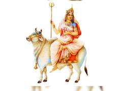 Navratri 2022 Plant: આ 9 છોડમાં છે મા દુર્ગાના નવ સ્વરૂપનો વાસ, ઘરમાં લગાવવાથી મળશે ચમત્કારિક લાભ