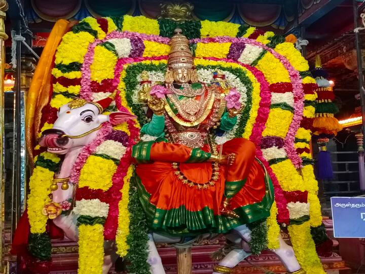 ரிஷப வாகன அலங்காரத்தில் காட்சியளிக்கும் அம்மன்