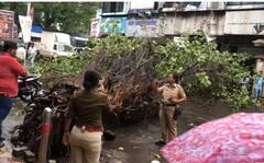 Pune rain : कुठे पाणी साचलं तर कुठे झाडं पडली; धो-धो पावसाने पुण्यात उडवली दाणादाण