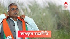 'ন্যানো বন্ধ করে দিয়ে কাশফুল দিয়ে শিল্প', সিঙ্গুরে গিয়ে আক্রমণাত্মক দিলীপ