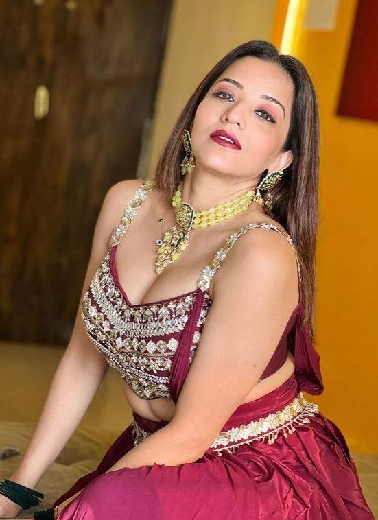 सोशल मीडियावर मोनालिसाचे पाच मिलियन्सहून अधिक फॉलोअर्स आहेत.