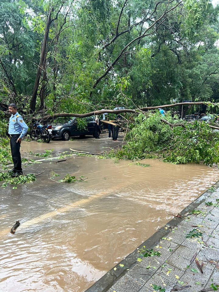 बीएमसीसीच्या रस्त्यावरील हे दृष्य आहे.