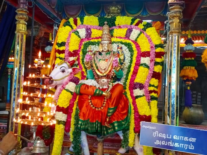 ரிஷப அலங்காரத்தில் காட்சி தரும் அம்மனுக்கு அடுக்கு தீபாராதனை