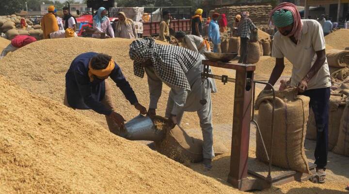 AAP Govt to begin paddy purchase from Oct 1 in Punjab  , Paddy price set Rs. 2060 ਪੰਜਾਬ ਦੀਆਂ ਮੰਡੀਆਂ 'ਚ ਝੋਨੇ ਦੀ ਸਰਕਾਰੀ ਖ਼ਰੀਦ ਕੱਲ੍ਹ ਤੋਂ, ਝੋਨੇ ਦਾ ਭਾਅ ਵੀ ਮਿਲੇਗਾ ਵੱਧ