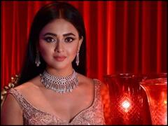 Big Boss से निकलते ही इन स्टार्स की ऐसी चमकी किस्मत, बाहर आते ही हाथ लगे ये बड़े प्रोजेक्ट्स