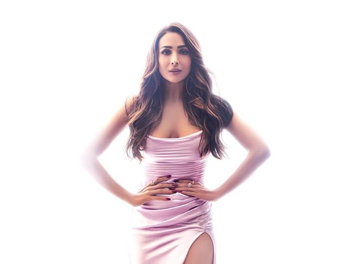 Actress Malaika Arora Photos : மங்கும் இரவின் ஒளியினிலே நீயும் நானும்..லாவெண்டர் கலர் உடையில் கலக்கும் மலைக்கா அரோரா!