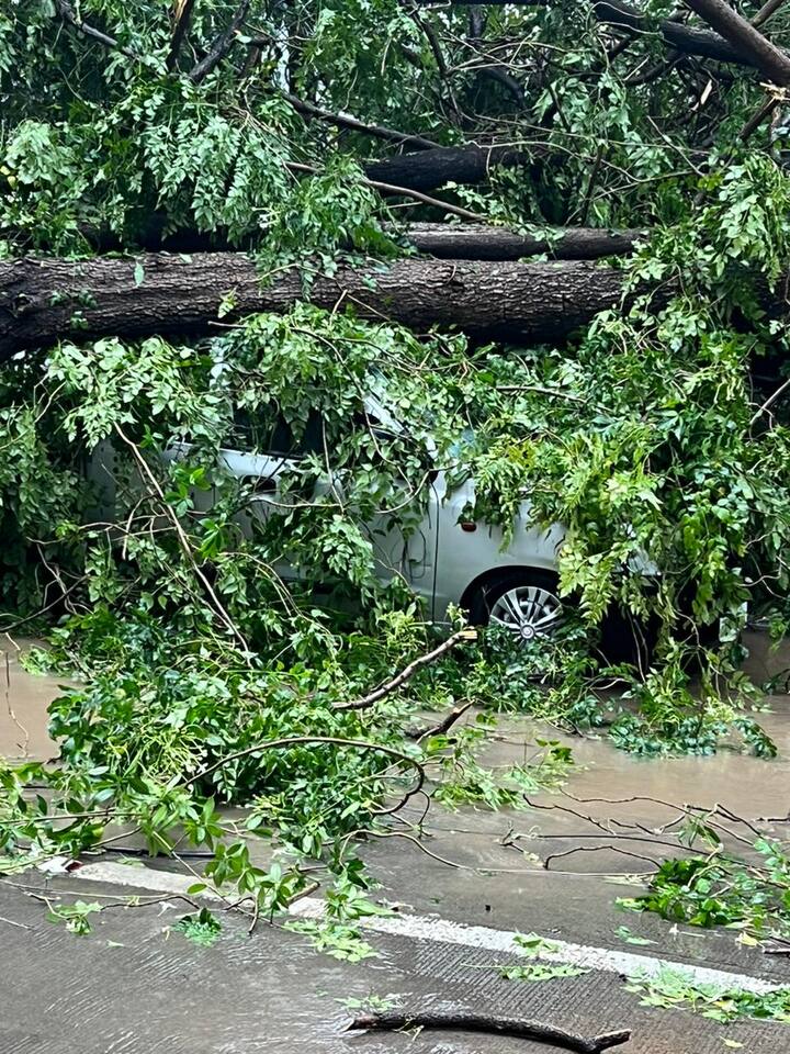 शिवाजी नगर, संगमवाडी, येरवडा, जंगली महाराज, रस्ता, टिळक रस्ता, आपटे रस्त्यावर मोठ्या प्रमाणात वाहतूक कोंडी झाली होती.