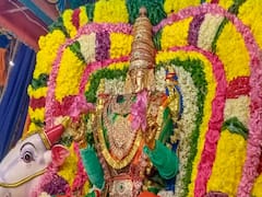 அண்ணாமலையார் கோவிலில்  ரிஷிப வாகனத்தில் காட்சியளிக்கும் அம்மன்!