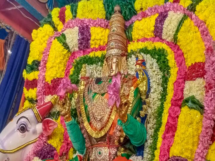 ரிஷிப வாகன அலங்காரத்தில் கையில் தாமரை பூவுடன் காட்சி தரும் அம்மன்