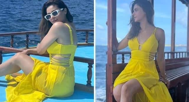 Aamna Sharif Latest Photos: પોતાના ટ્રેડિશનલ લૂકને લઇને હંમેશા ફેન્સની વચ્ચે ચર્ચામાં રહેનારી એક્ટ્રેસ આમના શરીફ આજકાલ પોતાના હૉટ લૂકના કારણે ચર્ચામા છે.