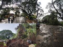 Kolhapur Rain : परतीच्या पावसाचा कोल्हापूरमध्ये 'रुद्रावतार'! कोल्हापूर-गगनबावडा मार्गावर महाकाय वडाचे झाड कोसळले, वाहतुकीवर परिणाम