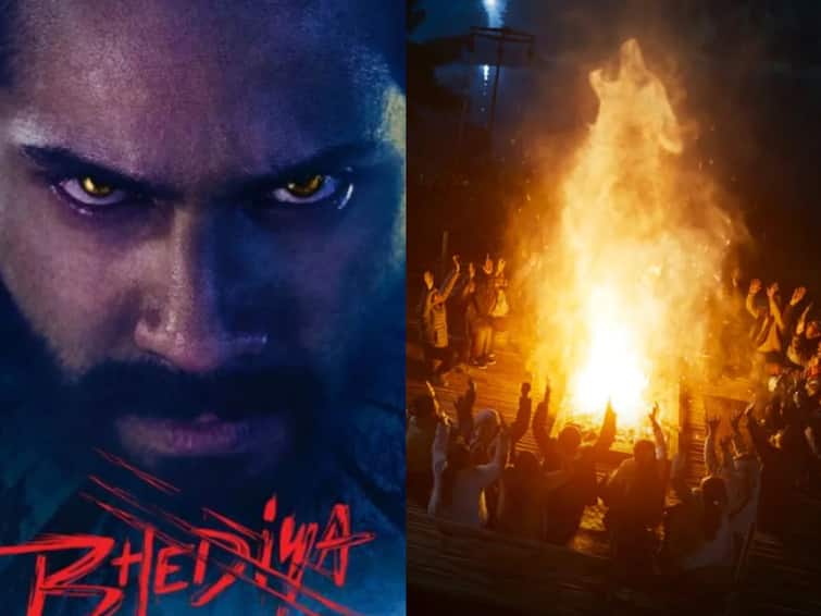 flop show continues of bhediya on box office, read collection of day 11 Collection: બૉક્સ ઓફિસ પર 'ભેડિયા' ધોવાઇ, બિઝનેસમાં થયો જોરદાર ઘટોડો, જાણો કલેક્શન