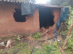 सरगुजा के उदयपुर इलाके में 11 हाथियों ने मचाया आंतक, फसलों और घरों को किया तबाह