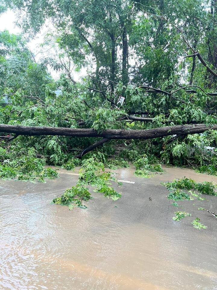 तासाभराच्या पावसाने दाणादाण उडाली होती.
