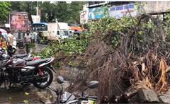 Pune rain : कुठे पाणी साचलं तर कुठे झाडं पडली; धो-धो पावसाने पुण्यात उडवली दाणादाण