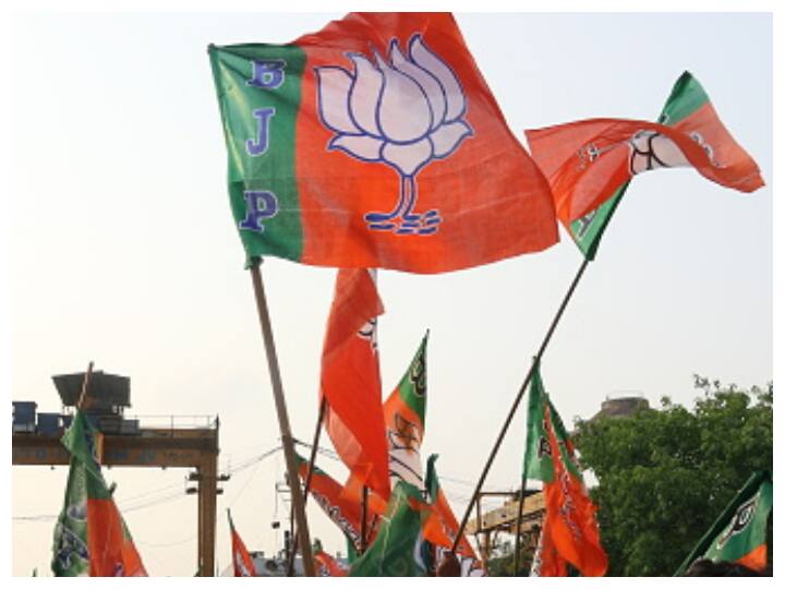 BJP Wins 417 Out Of 814 Seats In MP Local Body Elections BJP Wins 417 Out Of 814 Seats In MP Local Body Elections