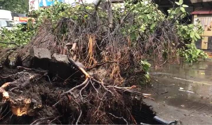 अनेक रस्ते बंद करण्यात आले होते.