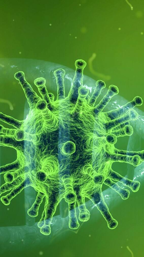 পঞ্চমীর আগেই কমল কোভিড কেস !