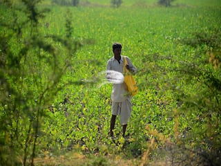 Fertilizer: યુરિયા-DAP થી પણ સસ્તું અને સારું છે આ ફર્ટિલાઇઝર, આ પાક માટે કોઈ વરદાનથી નથી ઓછું