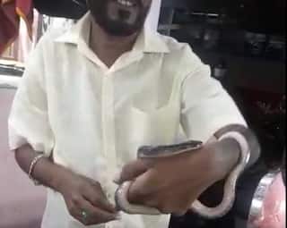 Wardha News : धामण समजून मण्यारसोबत खेळणं अंगलट, सापांबद्दलच्या अज्ञानामुळे एकाचा मृत्यू