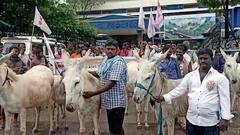 Kurnool Municipal Office లోకి గాడిదలతో వచ్చి నిరసన వ్యక్తం చేసిన రజక సంఘం నాయకులు