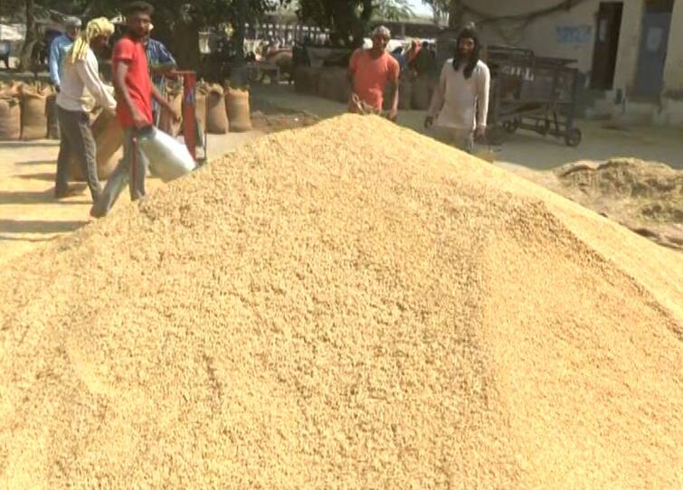 purchase of paddy has started in Bhaktanwala Anaj Mandi of Amritsar ਅੰਮ੍ਰਿਤਸਰ ਦੀ ਭਗਤਾਂਵਾਲਾ ਅਨਾਜ ਮੰਡੀ 'ਚ ਸ਼ੁਰੂ ਹੋਈ ਝੋਨੇ ਦੀ ਸਰਕਾਰੀ ਖ਼ਰੀਦ, ਪਹਿਲੇ ਦਿਨ ਕਿਸਾਨਾਂ ਨੂੰ ਮਿਲਿਆ 2060 ਰੁਪੈ ਪ੍ਰਤੀ ਕੁਇੰਟਲ ਰੇਟ