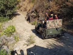 कुंभलगढ़ में जंगल सफारी शुरू, 22 किमी लंबे इस ट्रैक पर पर्यटक देख पाएंगे वन्यजीव, जानें कितना होगा किराया