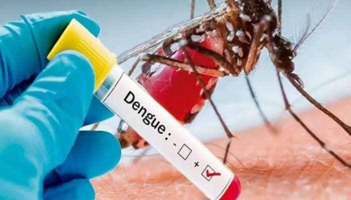 412 cases of dengue found in Delhi last week chikungunya and malaria cases were also found Dengu in Delhi: दिल्ली में खतरनाक हुआ डेंगू, पिछले हफ्ते मिले इतने मामले, चिकनगुनिया और मलेरिया के केस भी बढ़े, यह है वजह