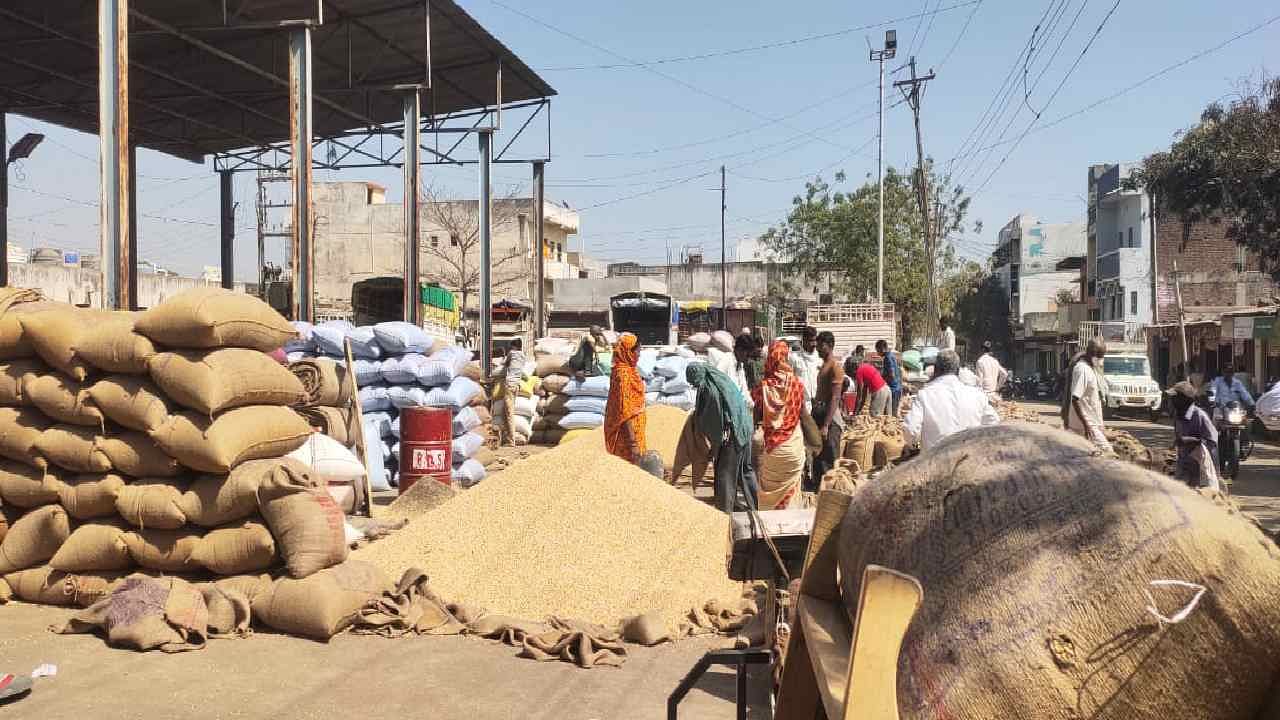 Soybean Price : सोयाबीनच्या दरात घसरण, 4 हजार 500 रुपयांचा दर मिळत असल्यानं शेतकरी चिंतेत, काढणीचा दरही वाढला