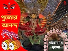 Durga puja: ৯৫ বছরে পা বেলগাছিয়া কেন্দ্রীয় সর্বজনীন দুর্গোত্‍সবের, এবারের থিম 'মায়া মহল'