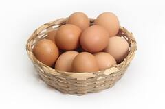 Eggs: ডিম থেকে অ্যালার্জি হচ্ছে কিনা বুঝতে পারছেন না? জানুন লক্ষণগুলি