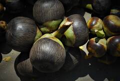 Health Tips : ऑक्टोबर हिटपासून दूर राहण्यासाठी ताडगोळे बहुपयोगी!