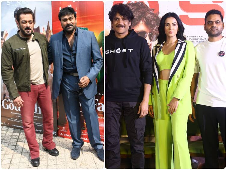 Chiranjeevi Vs Nagarjuna Check out director Praveen Sattaru reaction Godfather Vs The Ghost clash at theatres Godfather Vs Ghost : 'గాడ్ ఫాదర్' వర్సెస్ 'ఘోస్ట్' - ఒకటి టమోటా, ఇంకొకటి ఉల్లిపాయ్  