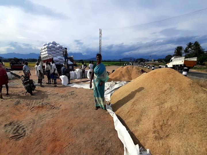 Farmers are actively involved in paddy harvesting in first go paddy cultivation in Theni TNN தேனியில் முதல் போக நெல் சாகுபடி;  அறுவடை செய்வதில் விவசாயிகள் தீவிரம்