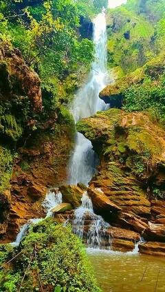 In Pics: छत्तीसगढ़ के इस नेशनल पार्क में हुई नई वाटरफॉल की खोज, देखें खूबसूरत तस्वीरें